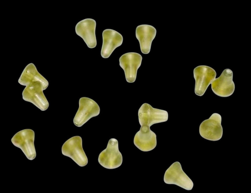 Core Hook Beads