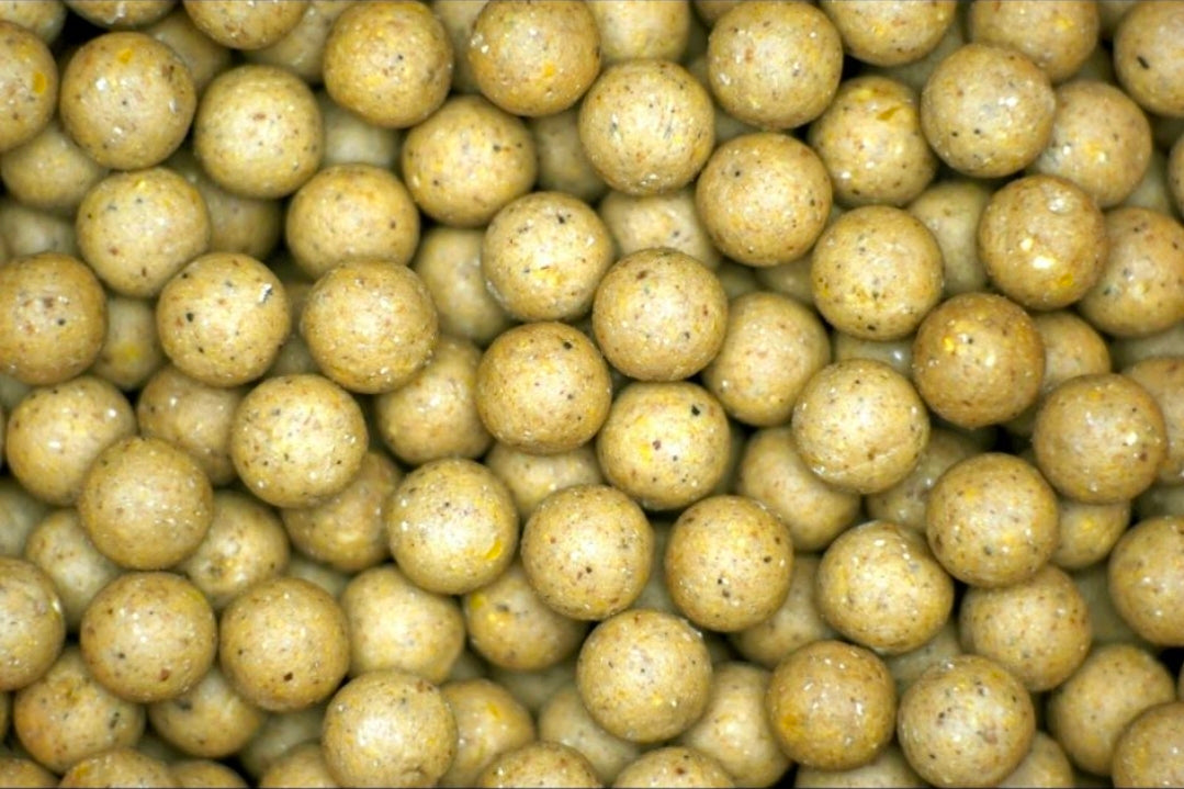 Tiger Temptress 5kg