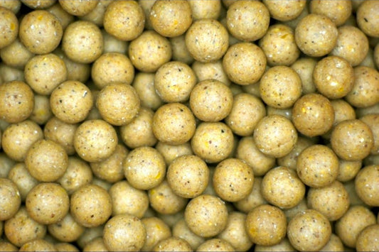 Tiger Temptress 1kg